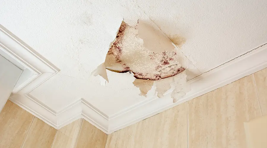 The Most Common Causes of Roof Leaks