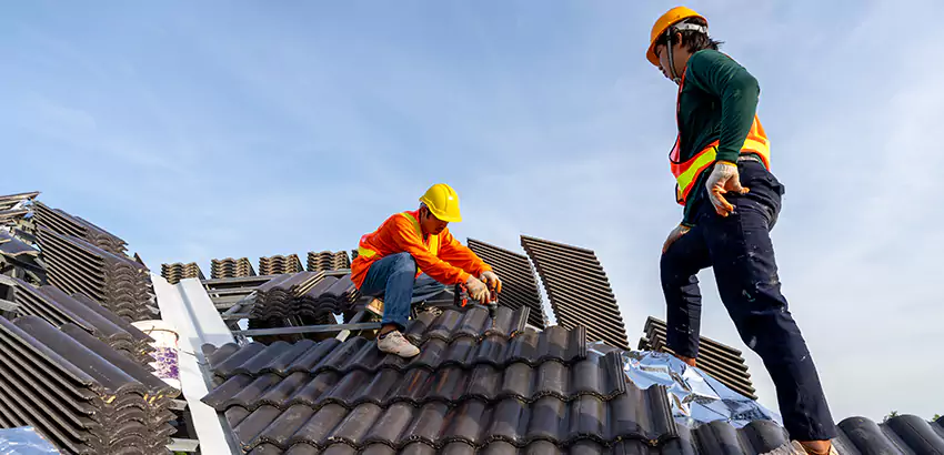 Professional Roofing Services in Chicago, IL