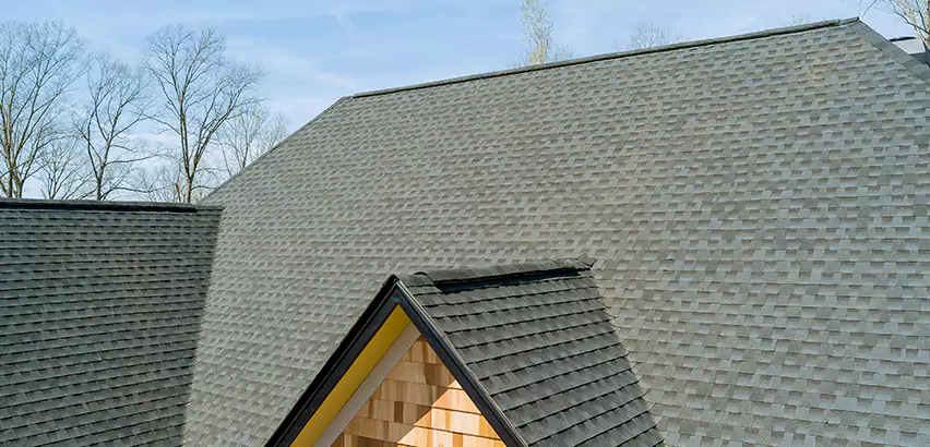 Replacing Vinyl Siding With Cedar Shingles in Chicago