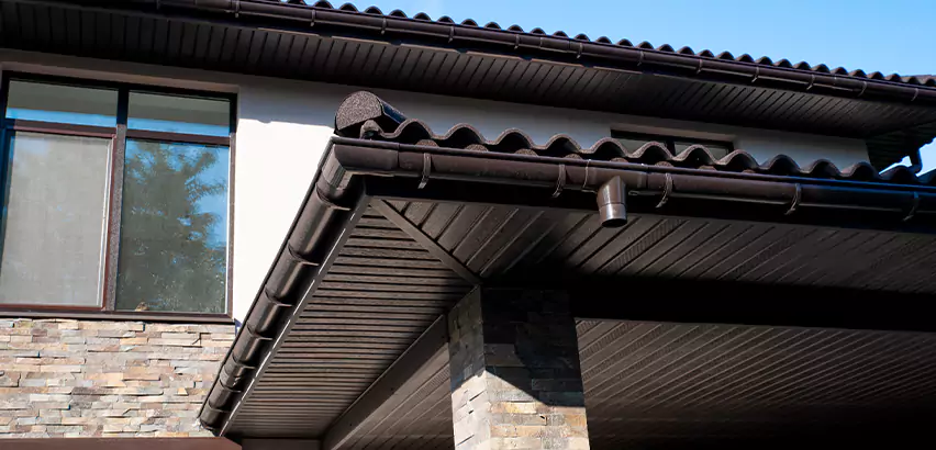 Rotted Fascia Board Repair in Chicago