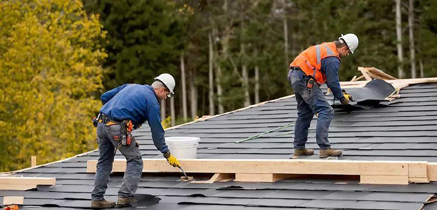 Garage Felt Roof Replacement in Chicago