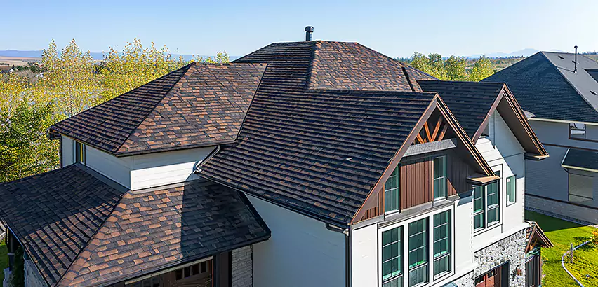 Residential Shingle Roofing in Chicago