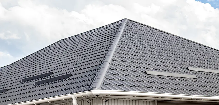 Roof Gully Repair in Chicago