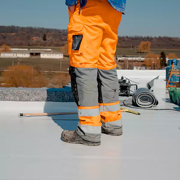 Why Chicago Property Owners Choose Green Roofing Chicago?