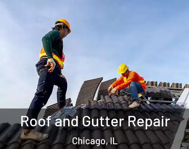  Roof and Gutter Repair Chicago, IL