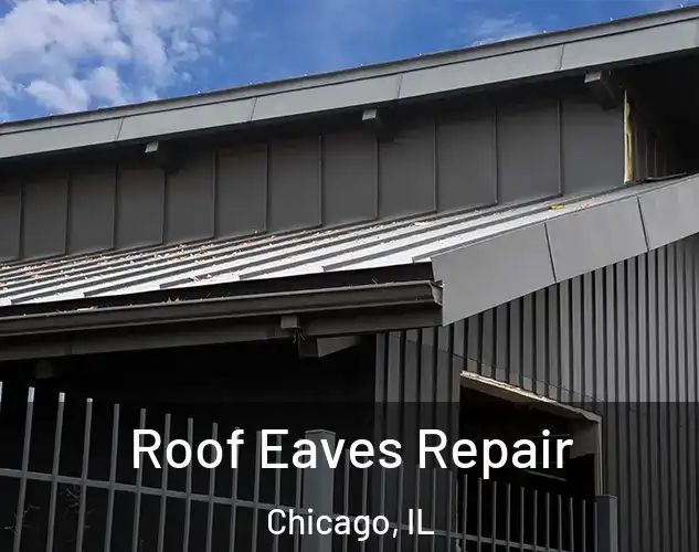  Roof Eaves Repair Chicago, IL
