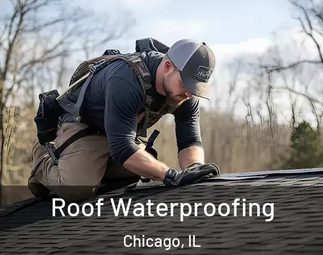  Roof Waterproofing Chicago, IL