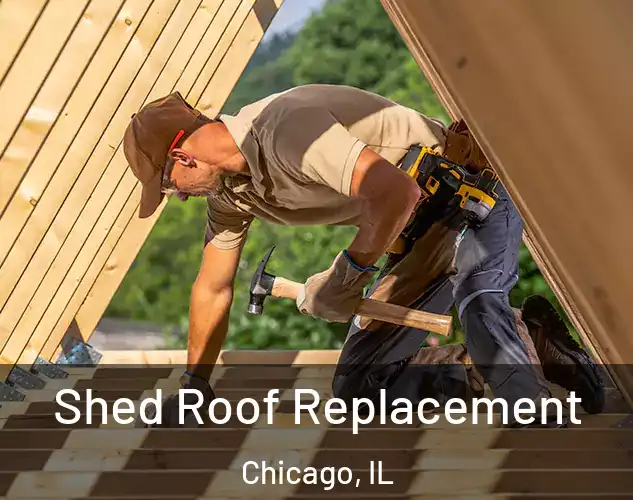  Shed Roof Replacement Chicago, IL