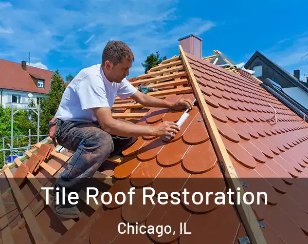  Tile Roof Restoration Chicago, IL